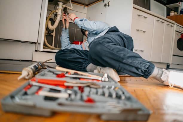 Best Plumbing Services Near Me  in Cahokia, IL